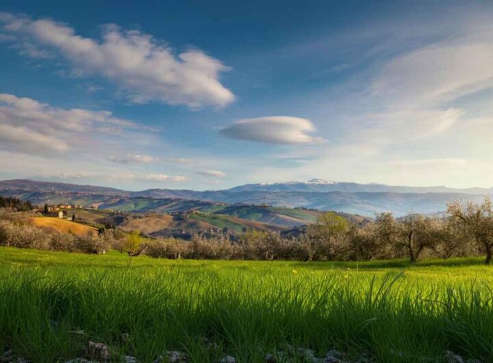 Settimana di pioggia in arrivo, ma il freddo invernale ci sorprenderà!