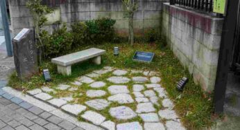 Scopri il parco più piccolo del mondo: un micro giardino da record di soli 0,24 metri quadrati