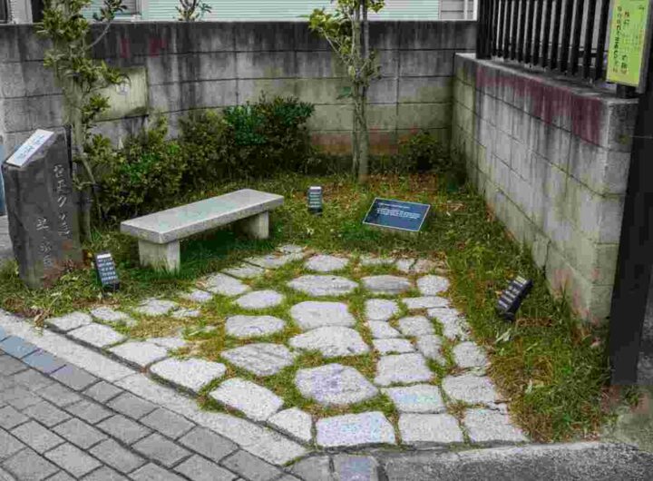 Scopri il parco più piccolo del mondo: un micro giardino da record di soli 0,24 metri quadrati