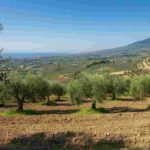 Scossa di terremoto in Calabria: magnitudo 3.4 avvertita a Catanzaro e Vibo