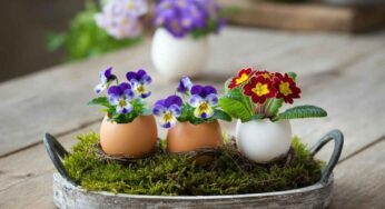 Vasetti di fiori con gusci d’uovo: un tocco primaverile per i tuoi centrotavola